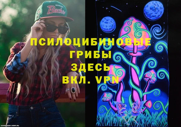 соль курить ск Алзамай