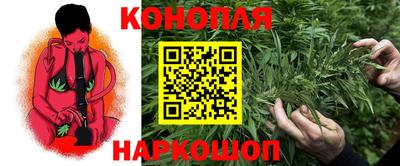 каннабис Новодвинск