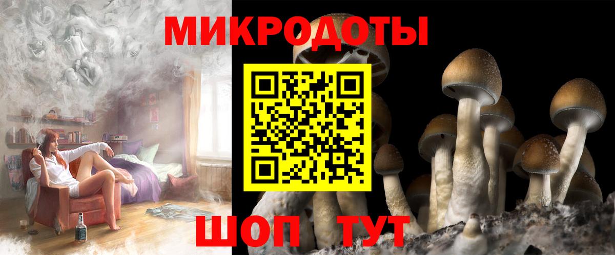 где можно купить   Вход с VPN  Удомля  Галлюциногенные грибы GOLDEN TEACHER  Псилоцибиновые грибы GOLDEN TEACHER 